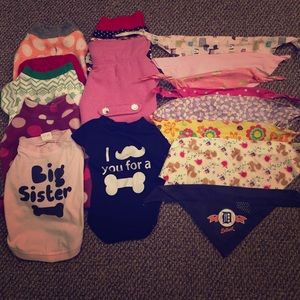 Clothing and bandanas